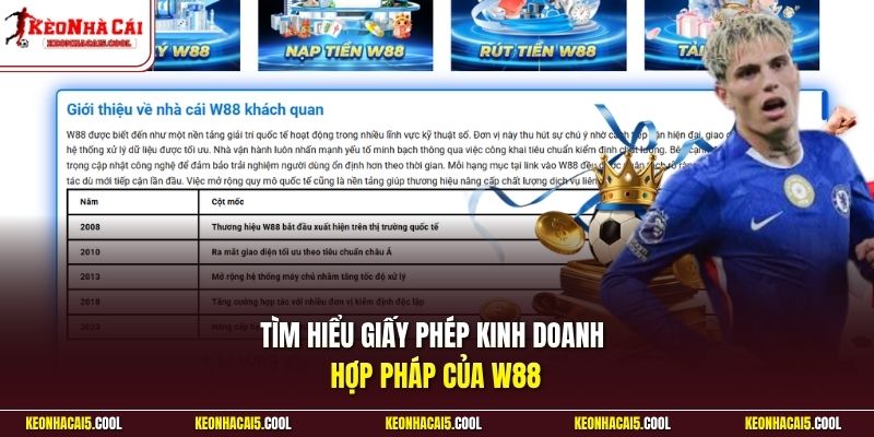 Tìm hiểu giấy phép kinh doanh hợp pháp của W88