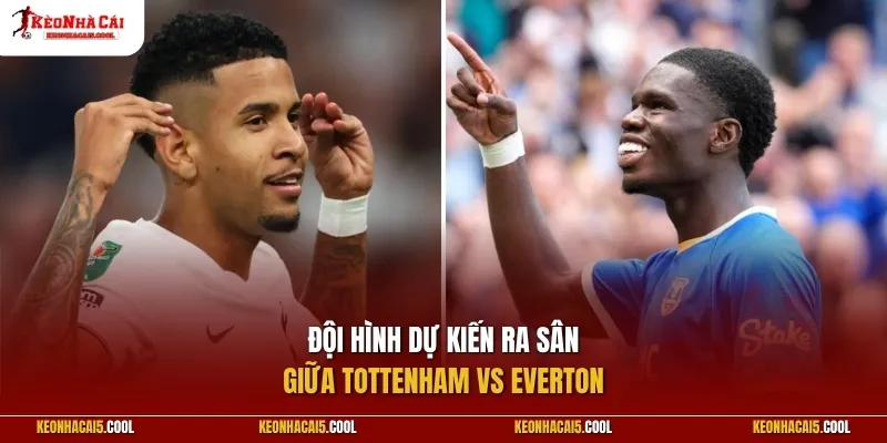 Đội hình dự kiến ra sân giữa 2 CLB Tottenham vs Everton