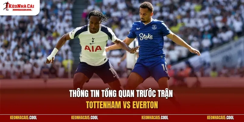Thông tin tổng quan trước trận Tottenham vs Everton